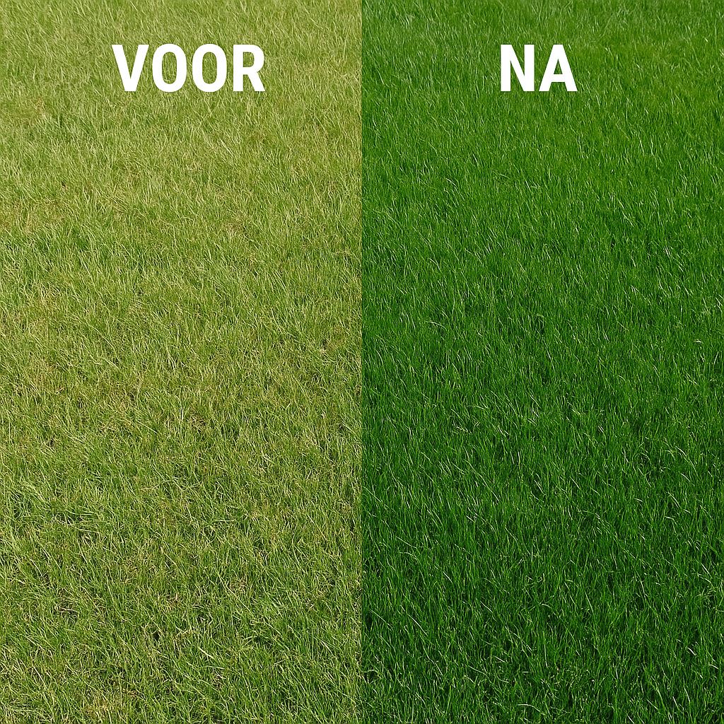 Famiflora-Gazonmest-All-in-One-20kg
