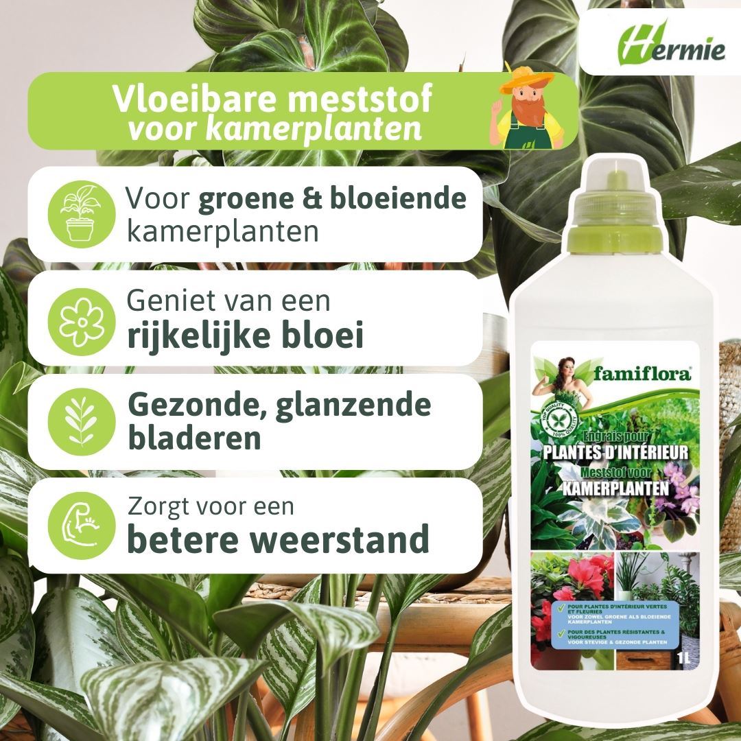 Famiflora-vloeibare-meststof-voor-Kamerplanten-1L