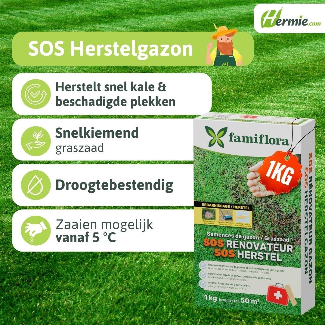 SOS-Herstelgazon-1Kg-50m-