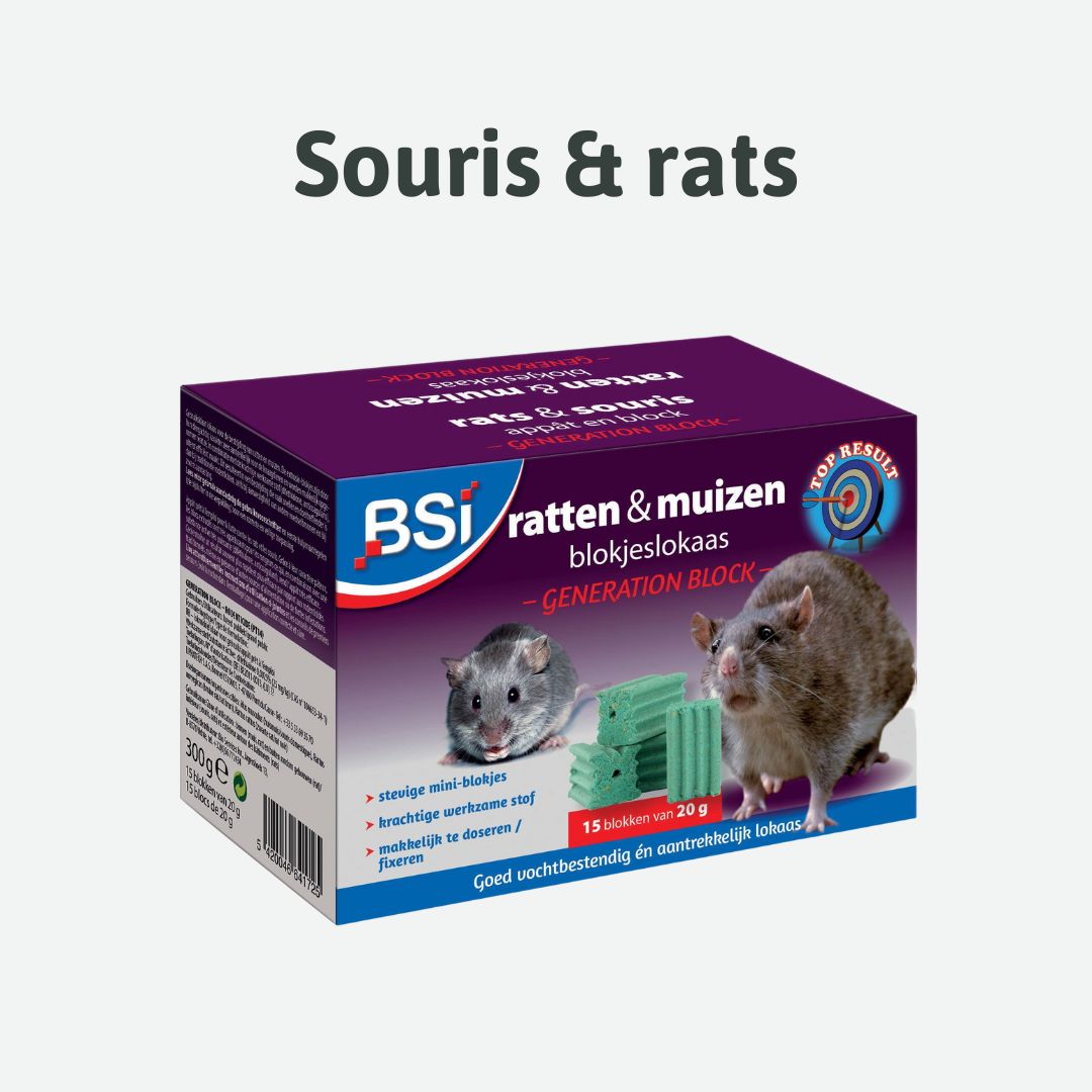 combattre souris et rats