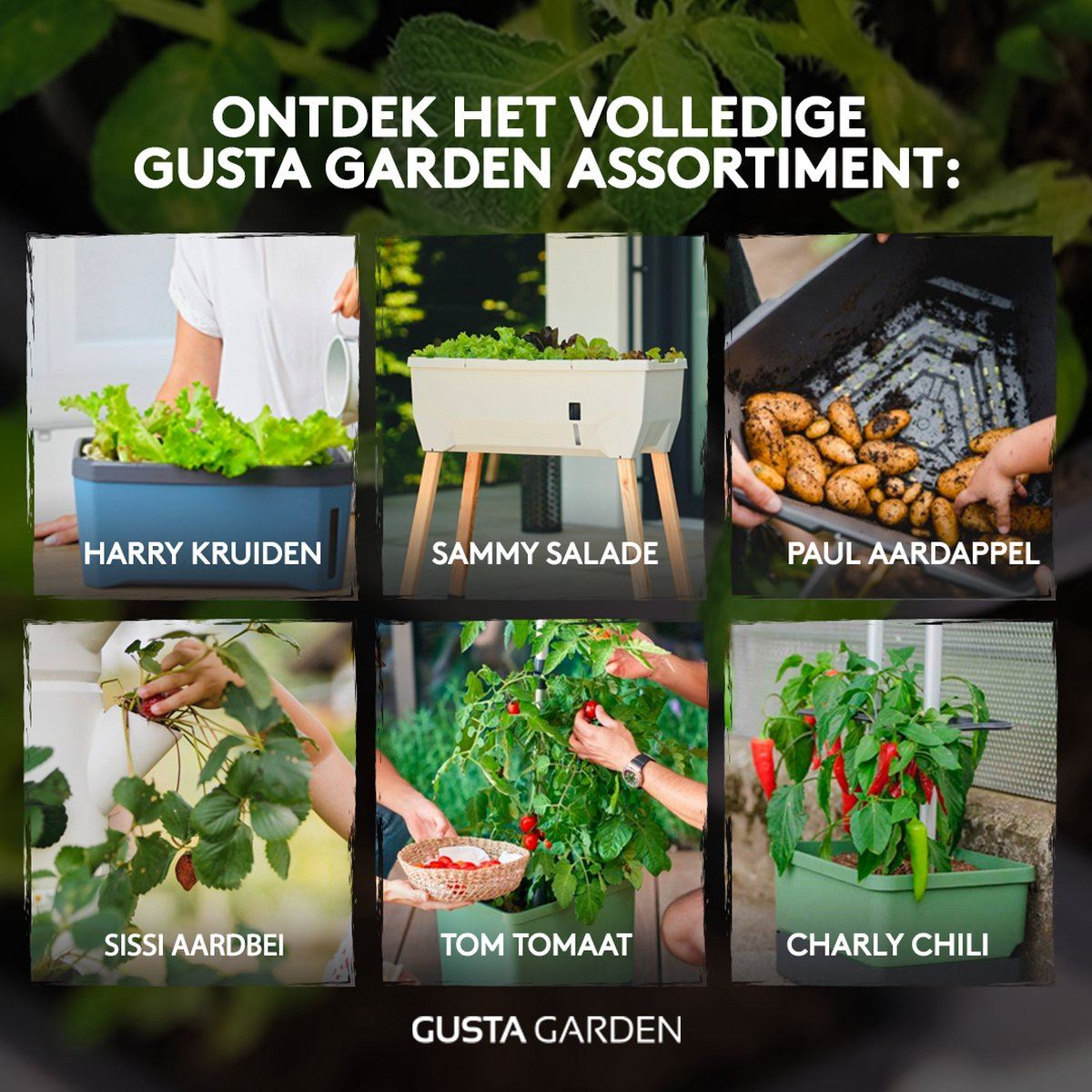 Gusta Garden TOM TOMATO - tomatenpot met waterreservoir (donkergroen)