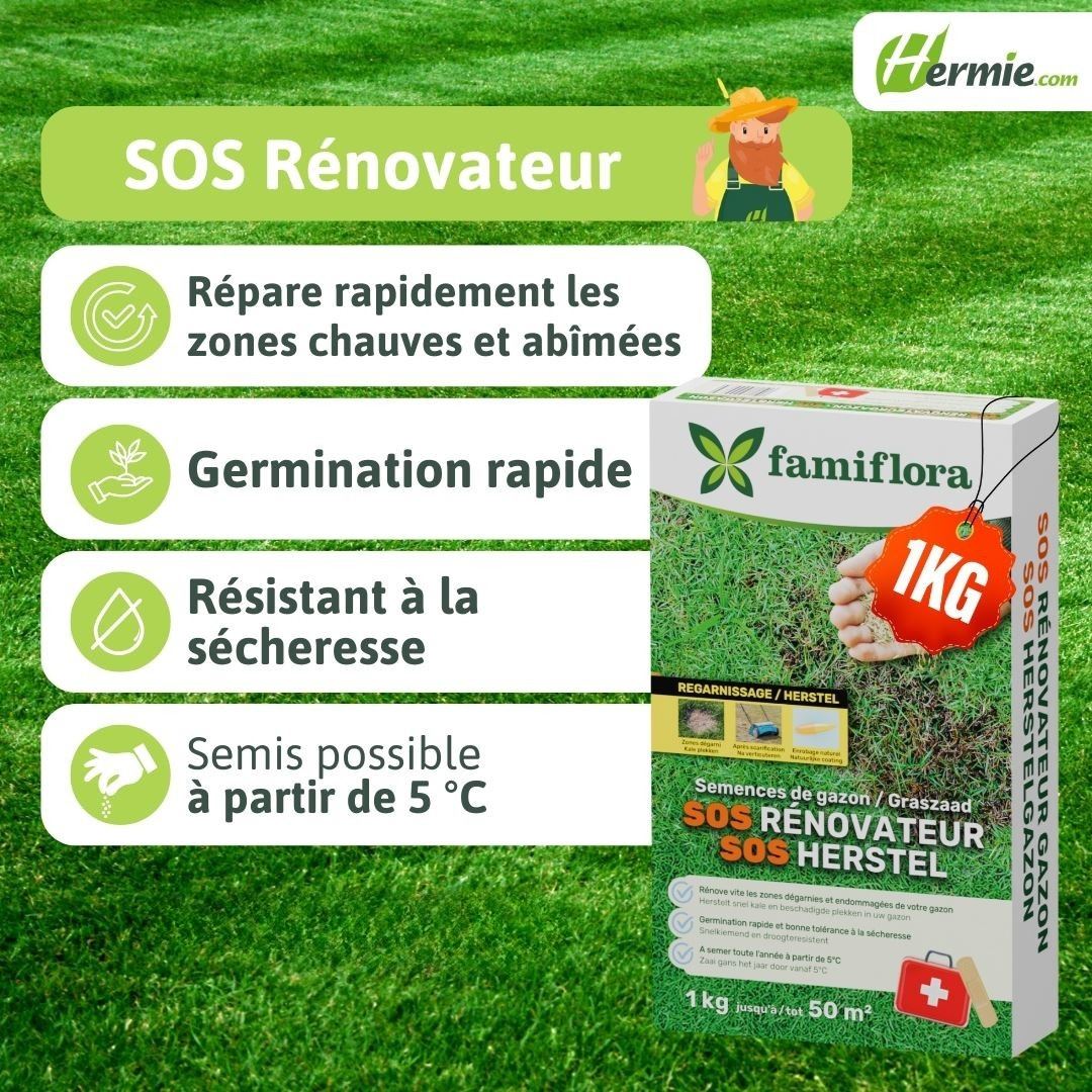 SOS-Herstelgazon-1Kg-50m-