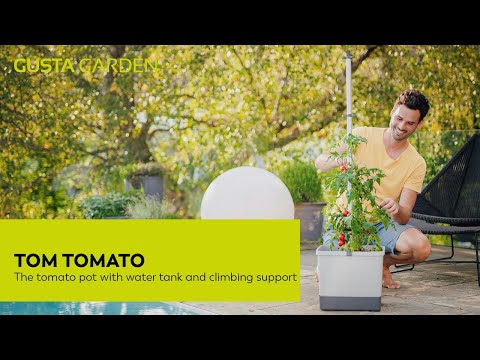 Gusta Garden TOM TOMATO - tomato pot with water reservoir - blue