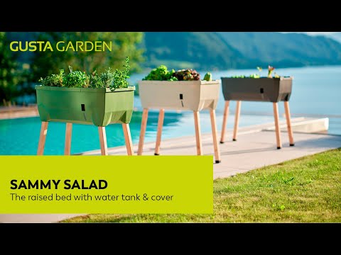 Gusta Garden SAMMY SALAD - bac à salade avec réservoir d'eau et couvercle - anthracite
