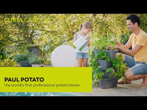 Gusta Garden PAUL POTATO - tour de pommes de terre - 4 niveaux - vert foncé