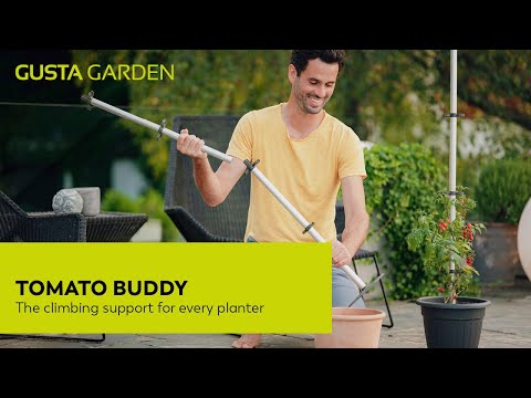 Gusta Garden TOMATO BUDDY - klimhulp voor tomaten - set van 3
